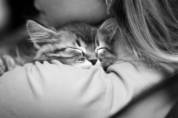 Black and white photo of a kitten sleeping