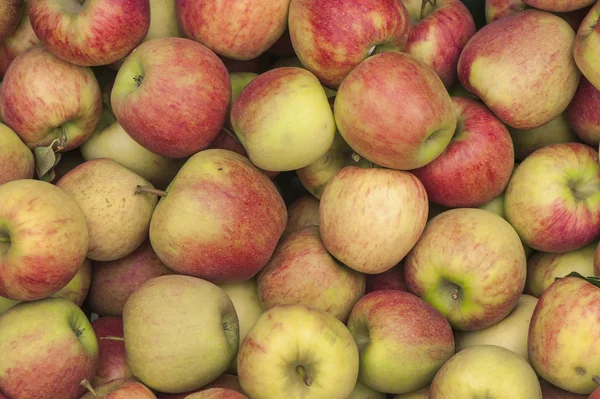 Ripe apples on sale