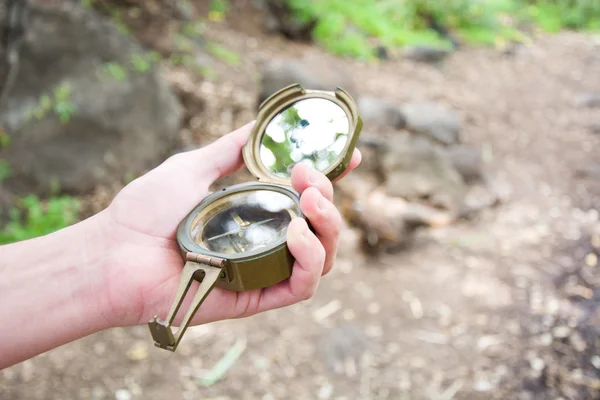 Exploring the forest with a compass in hand