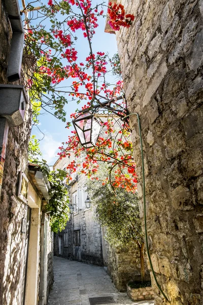 Narrow streets of the old town of Budva, Montenegro.