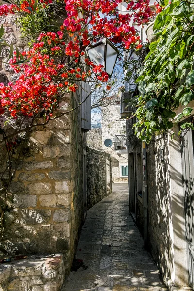 Narrow streets of the old town of Budva, Montenegro.
