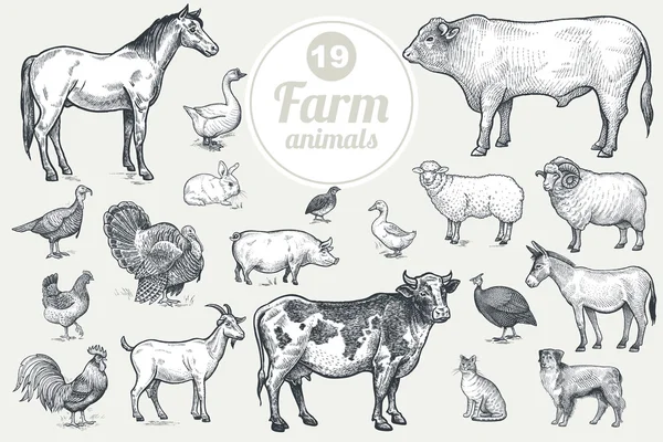 Farm livestock and poultry set.