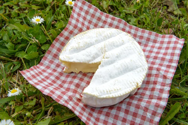 Camembert on a red squares tablecloth on grass