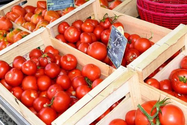 Organic, hand picked ripe tomatoes for sale