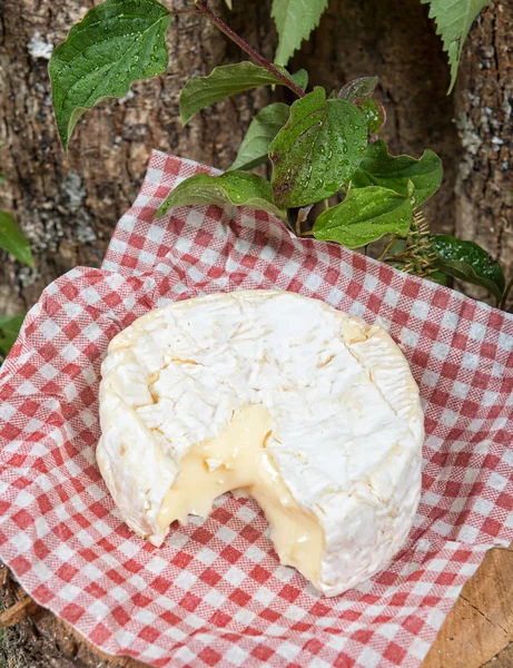 Camembert on a red squares tablecloth