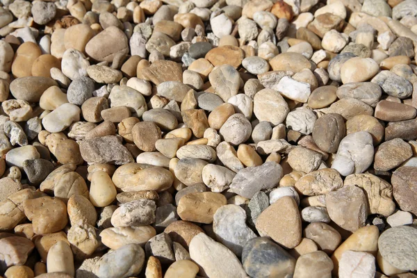 Interesting beige solid background of stone pebbles on the shore