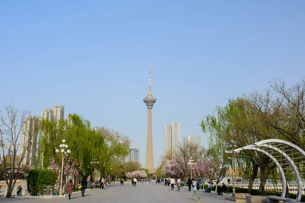 Cityscape of  Water garden with TV tower in background.