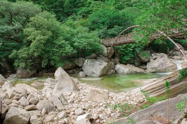 Iron bridge over mountain river