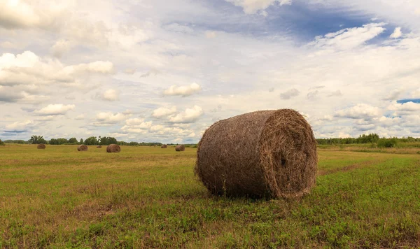 The bale of hay