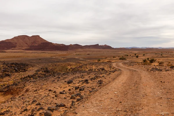 Road in the desert Sahara