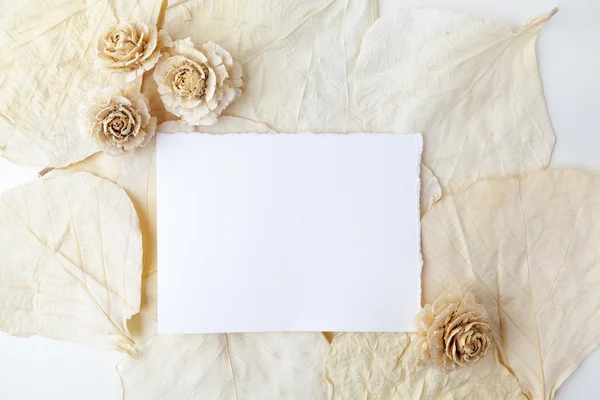 Dried biege flowers andleaves wiht blank paper. Flat lay. Top view