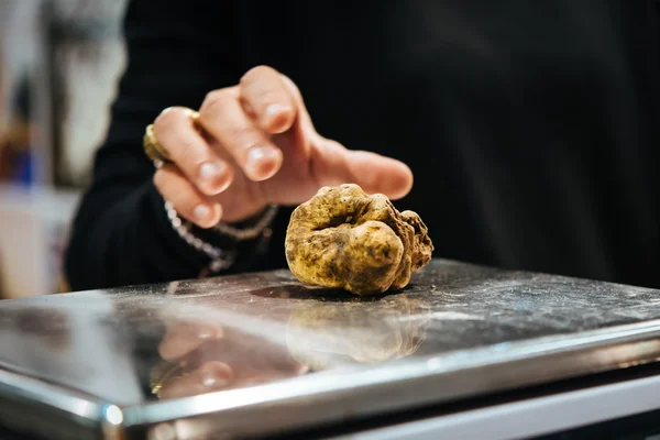 White truffles on sale