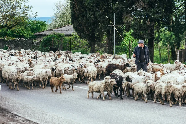 Kakheti