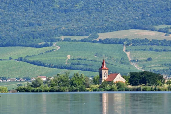 The island with the old church in the middle of the lake. Landscape under Palava. Czech Republic - South Moravian Region wine region. Water tank - New Mills - Pasohlavky.