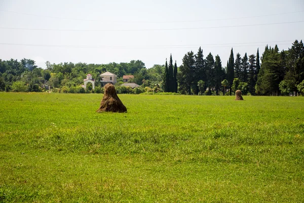 Photo of brown haystack among green field