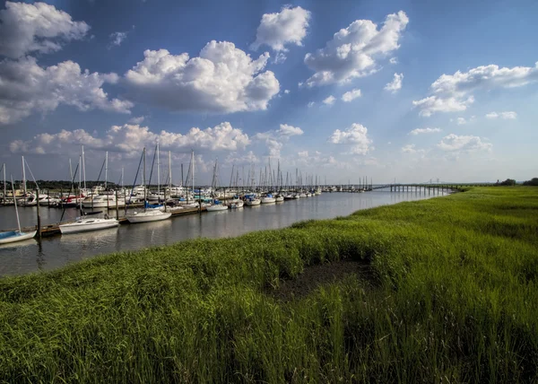 Georgia Ocean Coastal Grasslands and Sailboat Landscape 4