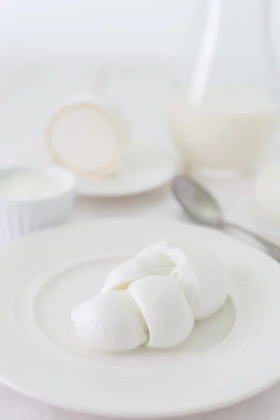 A piece of  cheese in the form of braids on a white plate. Photo dairy product in a light key. still life in white. Traditional Italian product