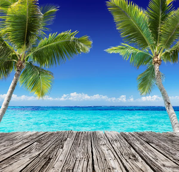 Tropical Seascape With Wooden Plank And Palm Trees On The Turquoise Ocean - Summer Holiday Background