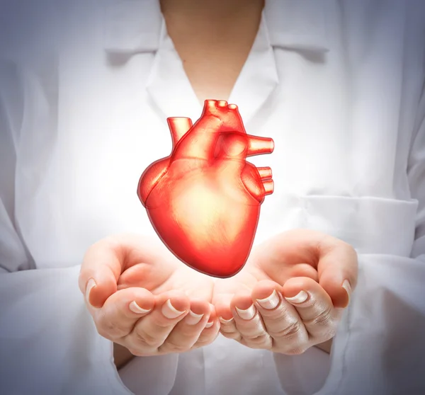 Woman doctor showing heart
