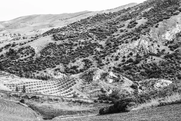 Elegant Black and White Landscape of Sicily