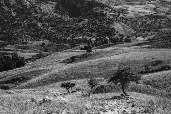 Elegant Black and White Landscape of Sicily
