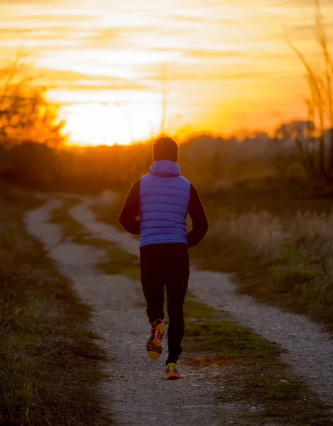 Back view of young sport man running outdoors in off road trail track towards  Autumn sun at sunset with orange sky