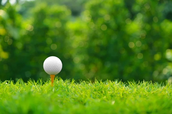 Golf ball on green grass isolated on white background