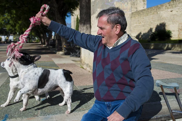 Elderly man playing with his dogs