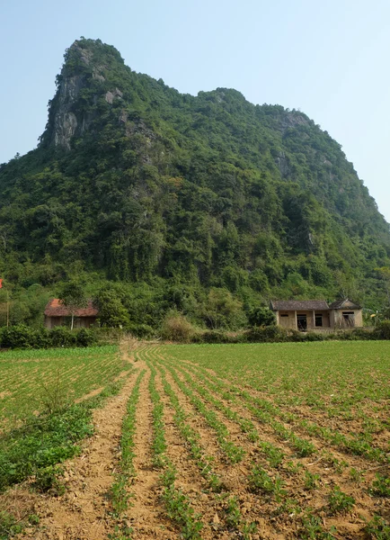 House, mountain, Quang Binh, Viet Nam, Vietnam