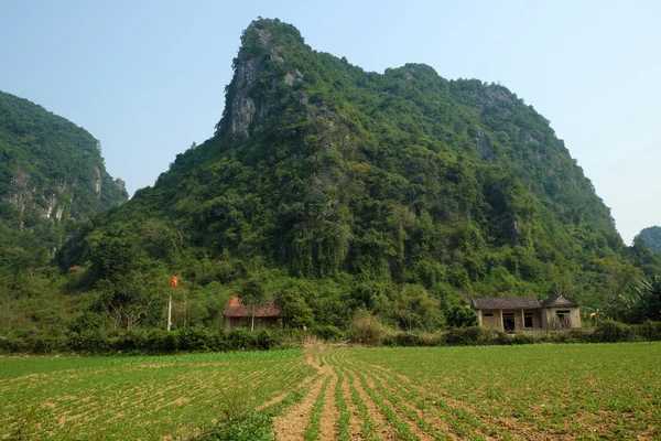 House, mountain, Quang Binh, Viet Nam, Vietnam