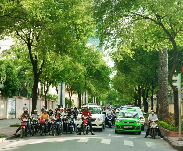 Asian city, green tree, Vietnamese street