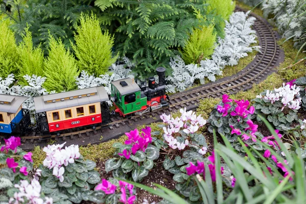 Toy train surrounded by Christmas flowers