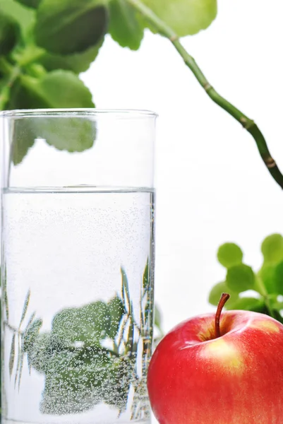 Photo of glass of water and apple in it with some green plants, white isolated background