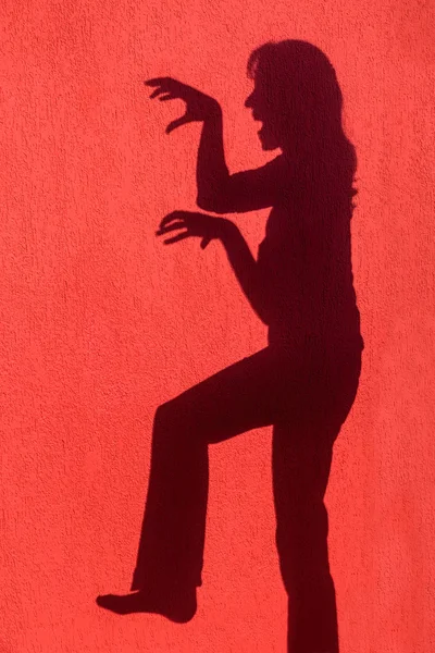 Profile shadow of woman on red wall