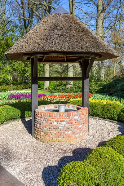 New waterwell with bucket in park