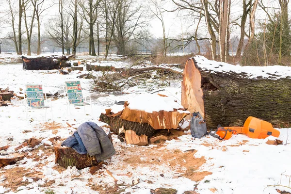 Snow landscape with tree trunks and work gear