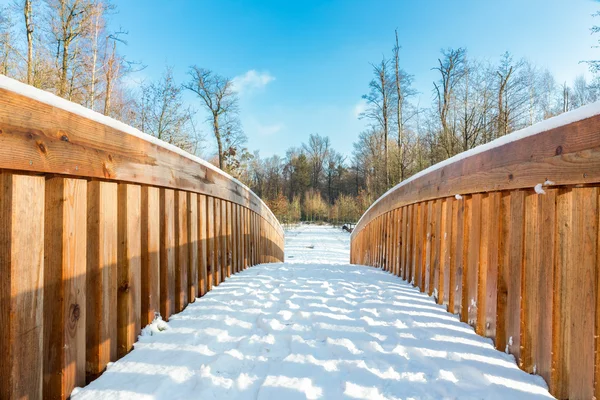 Snow on wooden bridge in forest
