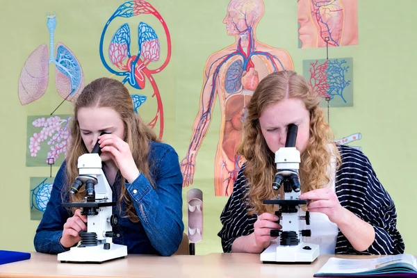 Two dutch teenage girls looking through microscope