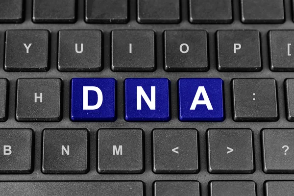 DNA or Deoxyribonucleic Acid on keyboard