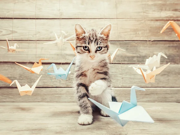 Kitten playing with origami birds