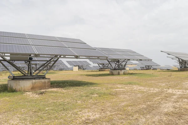 Solar panel plant