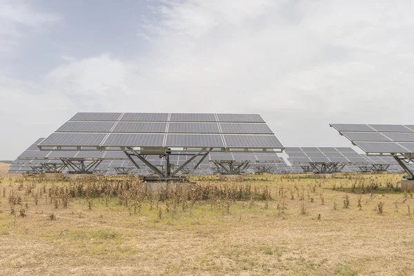 Solar panel plant