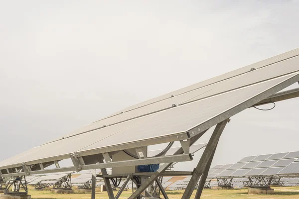 Solar panel plant