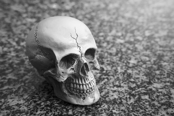 Still-life of human skull on granite texture background