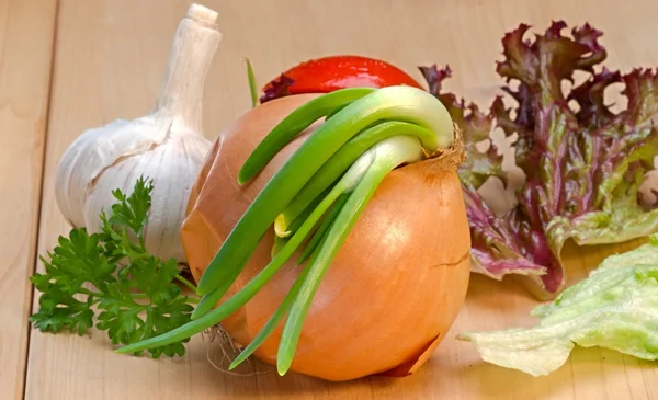 Vegetable salad ingredients