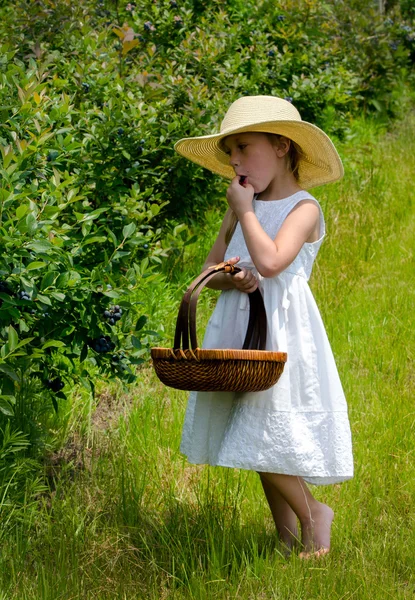 Eating Blueberries on the farm