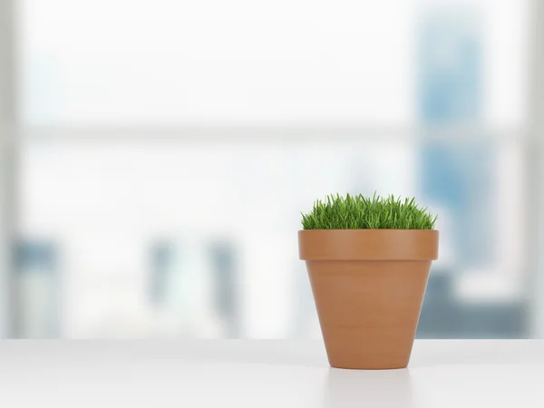 A flowerpot with green grass on the table. City view in blur on the background.