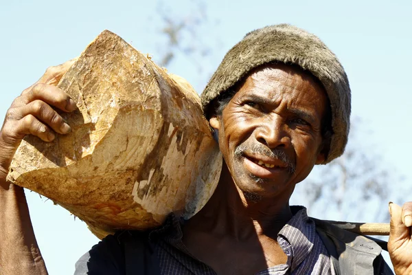 Hard working man carrying a tree trunk - MADAGASCAR