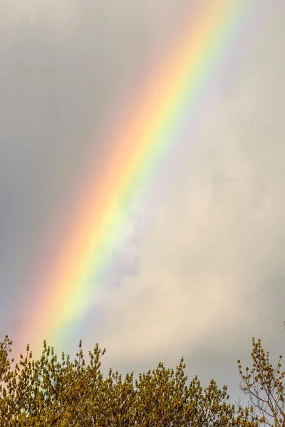 Rainbow sky spectrum clouds
