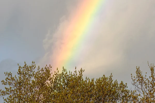 Rainbow sky spectrum clouds